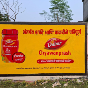 Tricycle advertising (24)